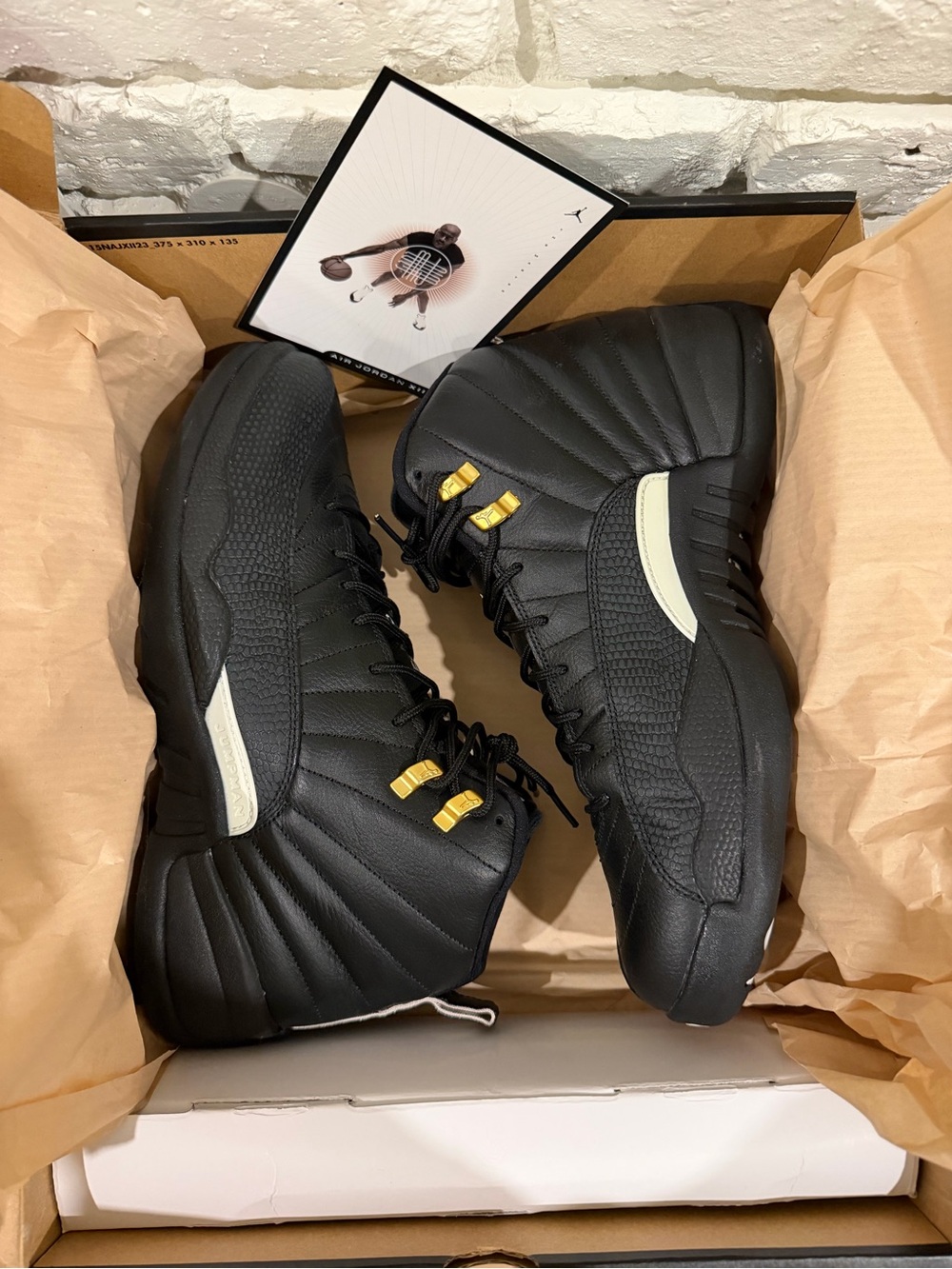 Air Jordan 12 Retro